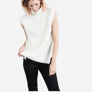 Everlane chunky knit wool sleeveless turtleneck